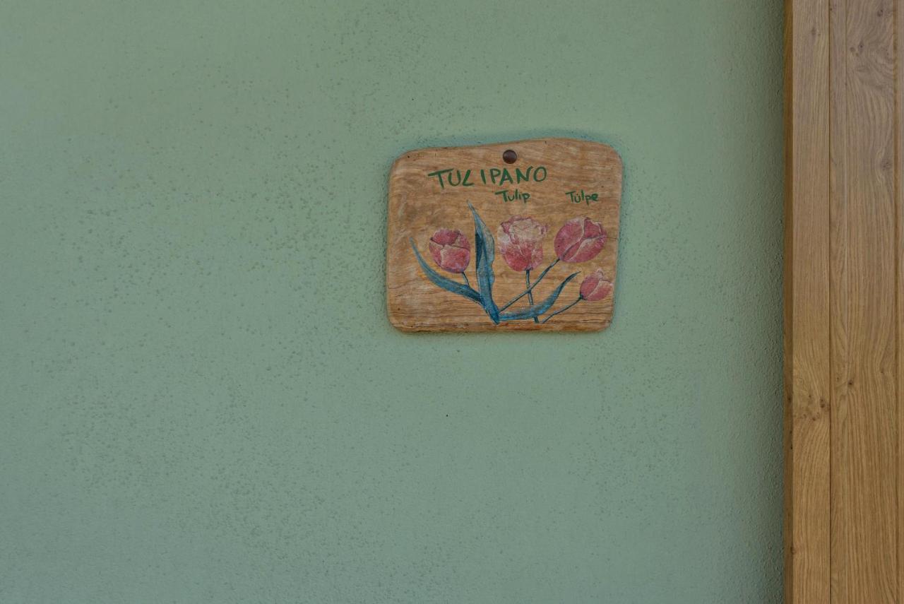 Nonno Bigi Tulipano Apartment Tremosine ภายนอก รูปภาพ